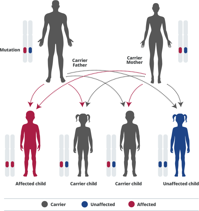 diagnostic-test diagnostic test